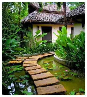 thiết kế cảnh quan