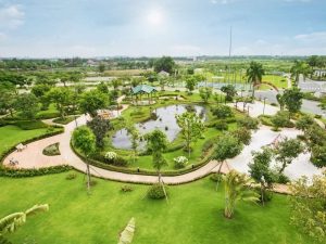 Thiết kế thi công cảnh quan Hồ Chí Minh