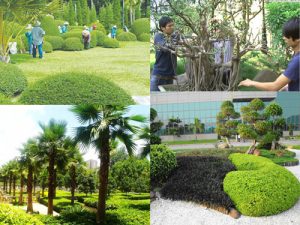 Thiết kế thi công cảnh quan Hồ Chí Minh