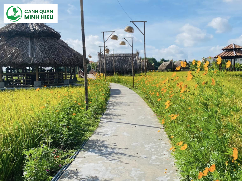 thiết kế cảnh quan Long An
