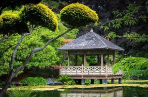 Thiết kế cảnh quan Thanh Hóa