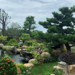Thiết Kế Tiểu Cảnh Sân Vườn Biệt Thự