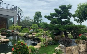 Thiết Kế Cảnh Quan Nghệ An