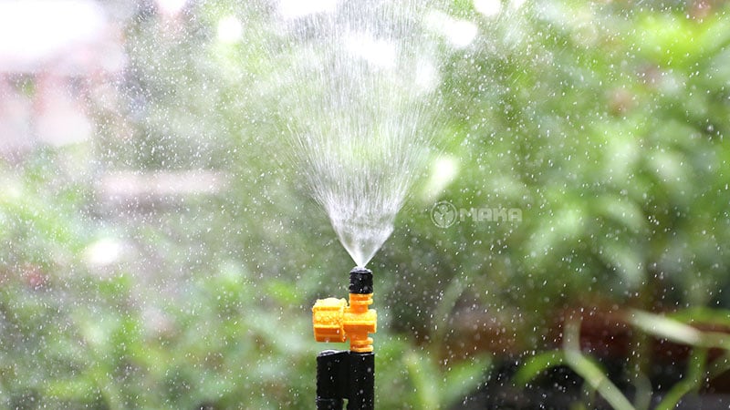 Hệ thống tưới phun sương (Mist Irrigation System)