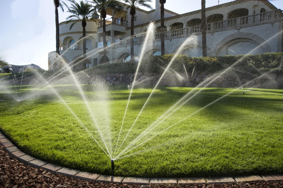 Hệ thống tưới phun mưa (Sprinkler System)