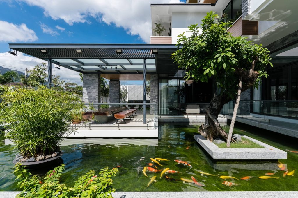 Thi công hồ cá Koi biệt thự