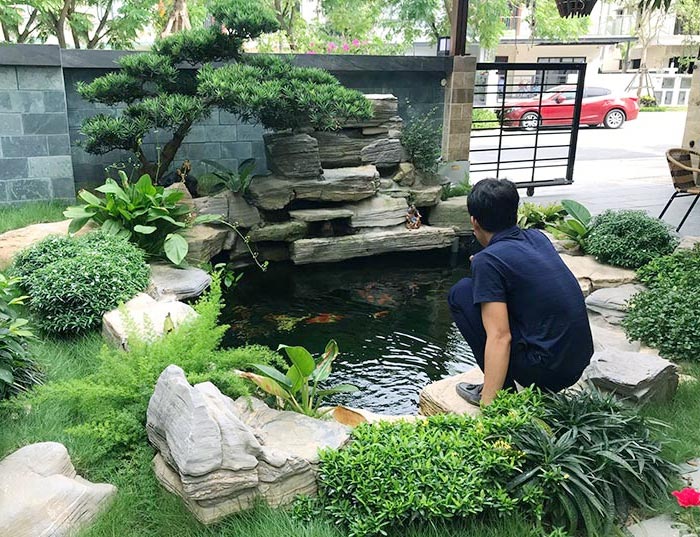Thi công hồ cá Koi biệt thự