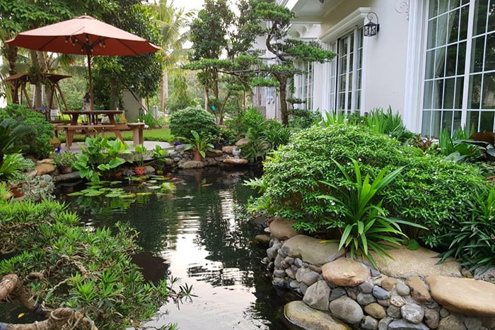 Hồ Cá Koi Sân Vườn Nhiệt Đới - Thi Công Hồ Cá Koi Biệt Thự