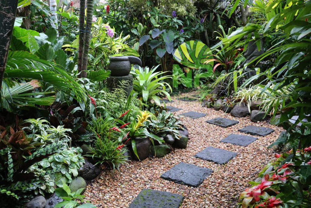 Phong cách tự nhiên/Nhiệt đới