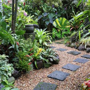 Phong cách tự nhiên/Nhiệt đới