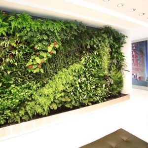 Thi công vườn đứng biệt thự