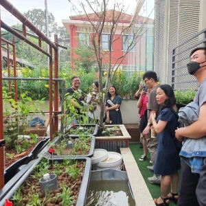 Thi công vườn cộng đồng