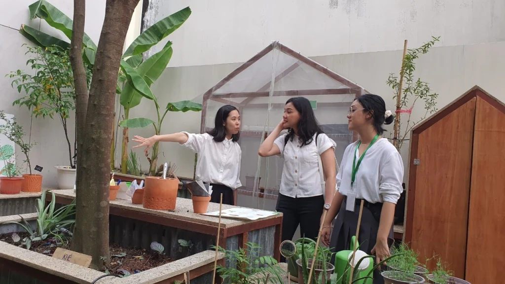 Thiết kế Thi công vườn cộng đồng