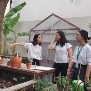 Thiết kế Thi công vườn cộng đồng