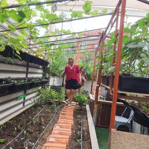 Vườn cộng đồng