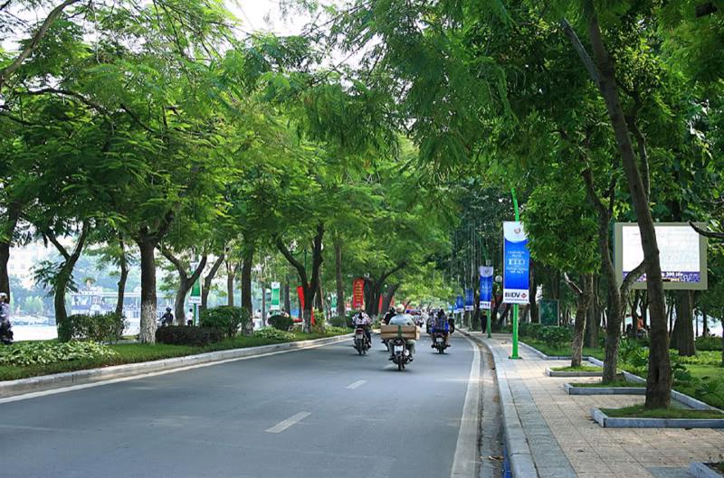 Thi công cảnh quan cây xanh trọn gói tại Hà Nội