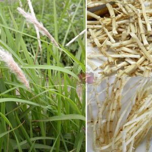 Chòi tre mái lá cỏ tranh thi công bởi Cảnh Quan Minh Hiếu
