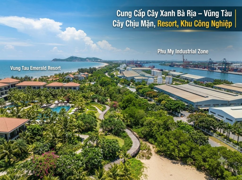 Cung cấp cây xanh Bà Rịa Vũng Tàu tại Cảnh Quan Minh Hiếu