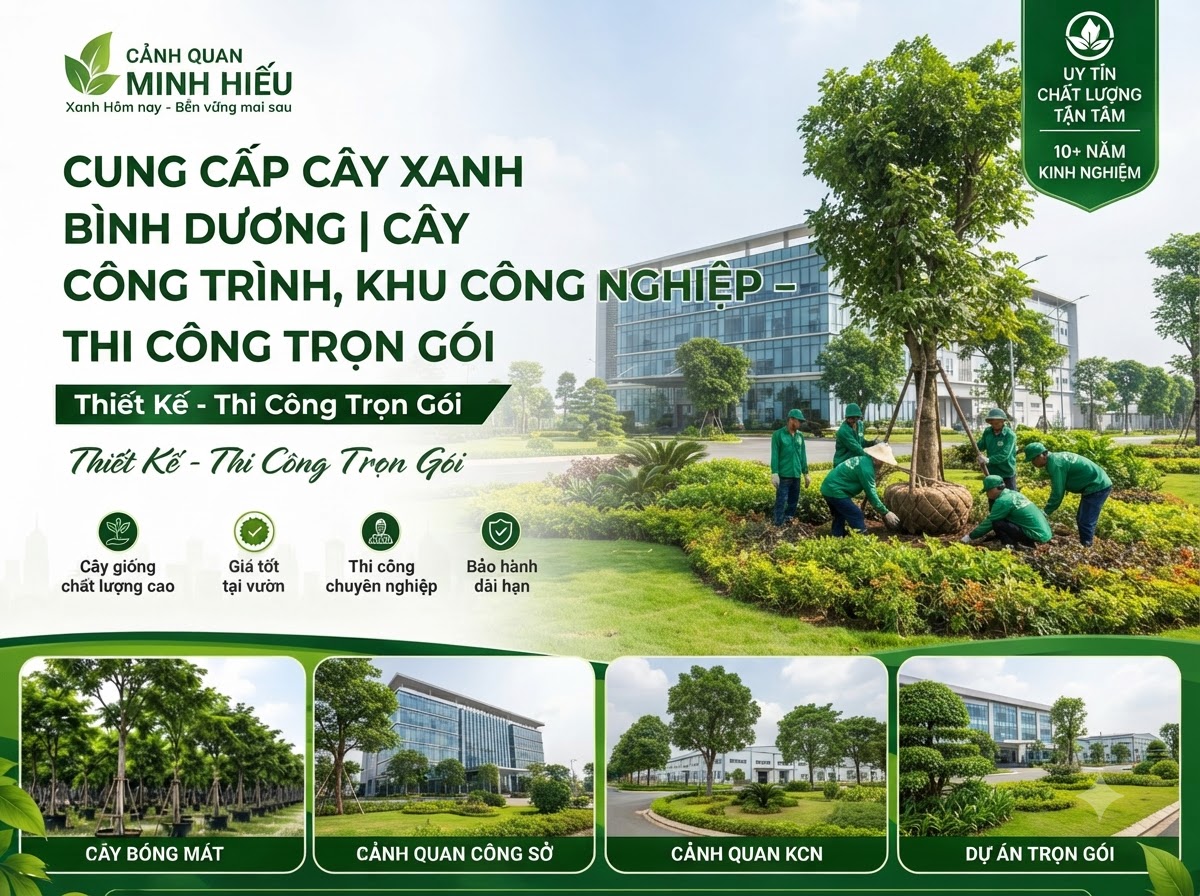 Cung cấp cây xanh Bình Dương tại Cảnh Quan Minh Hiếu