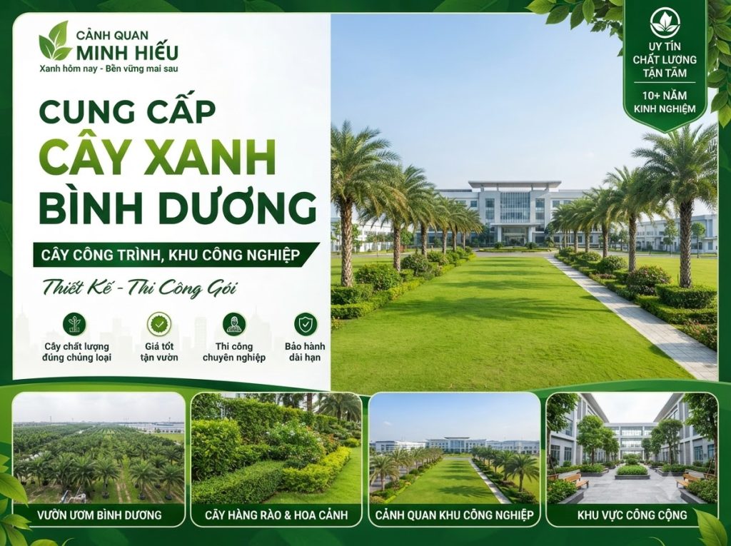 Cây xanh khu công nghiệp VSIP, nhà máy tại Bình Dương