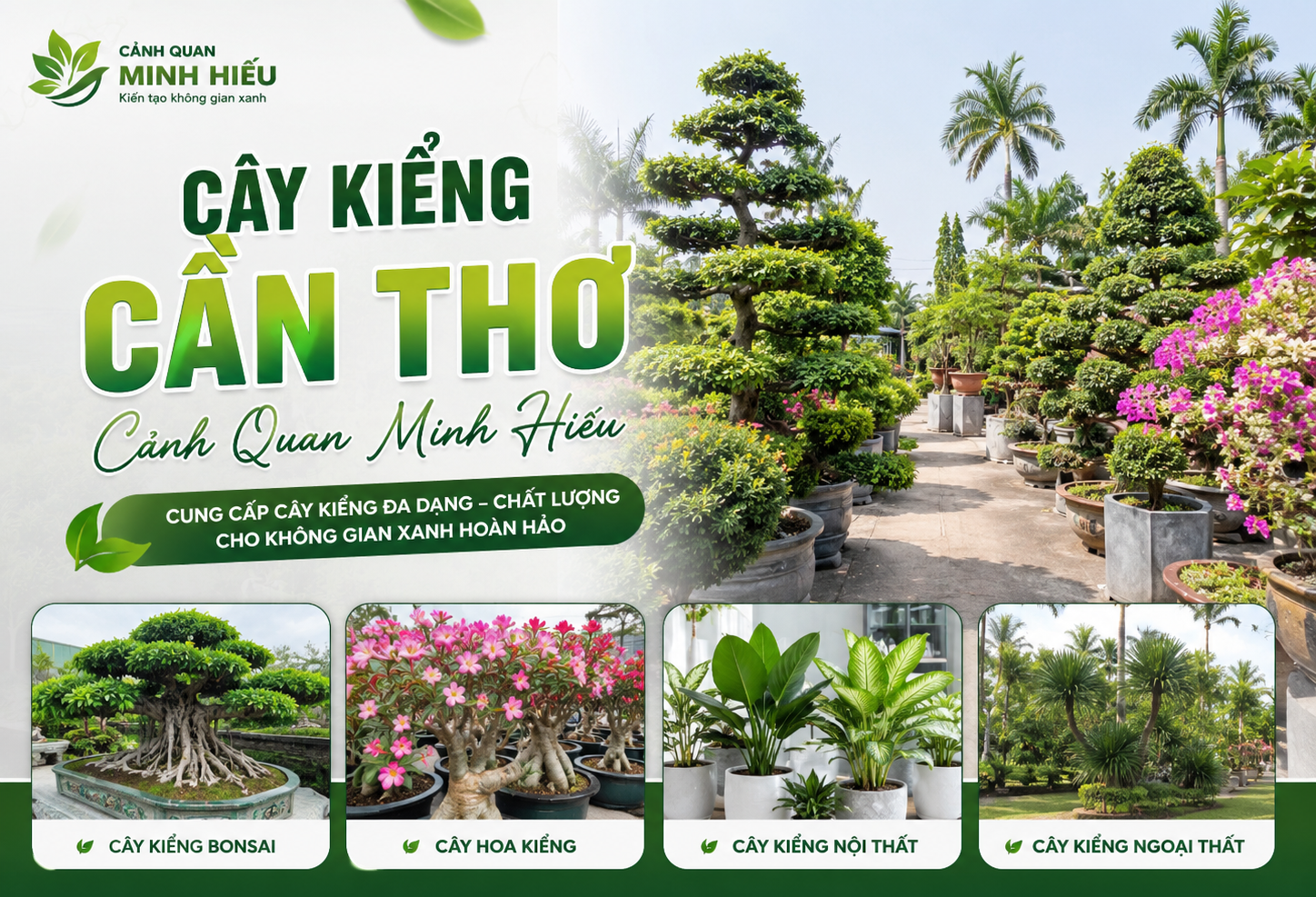 Cung cấp cây kiểng Cần Thơ đẹp tại Cảnh Quan Minh Hiếu