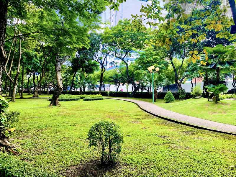 Cung Cấp Cây Xanh Bắc Giang: Tổng Kho Cây Công Trình 2 Thiết kế cây xanh công trình Bắc Giang