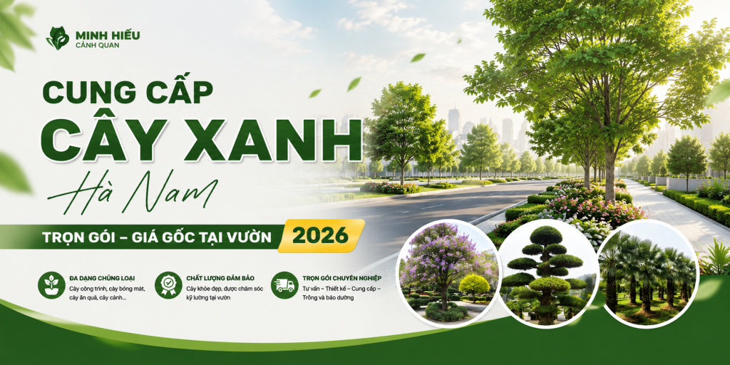 Minh Hiếu cung cấp cây xanh Hà Nam