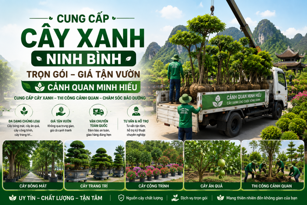 cay xanh ninh binh