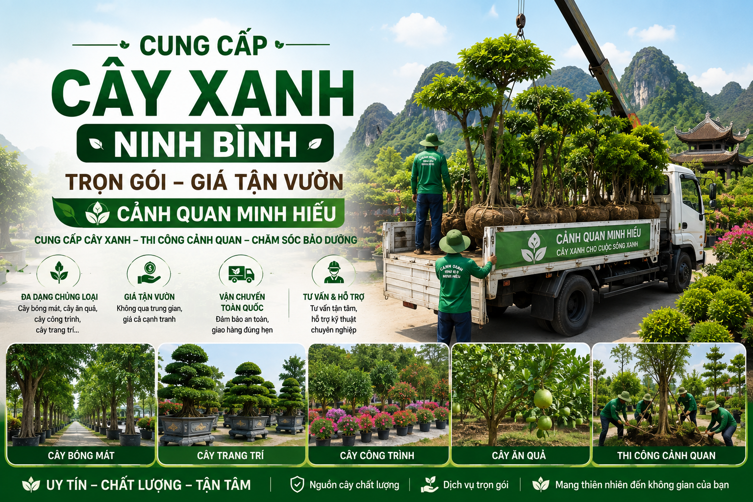 cay xanh ninh binh
