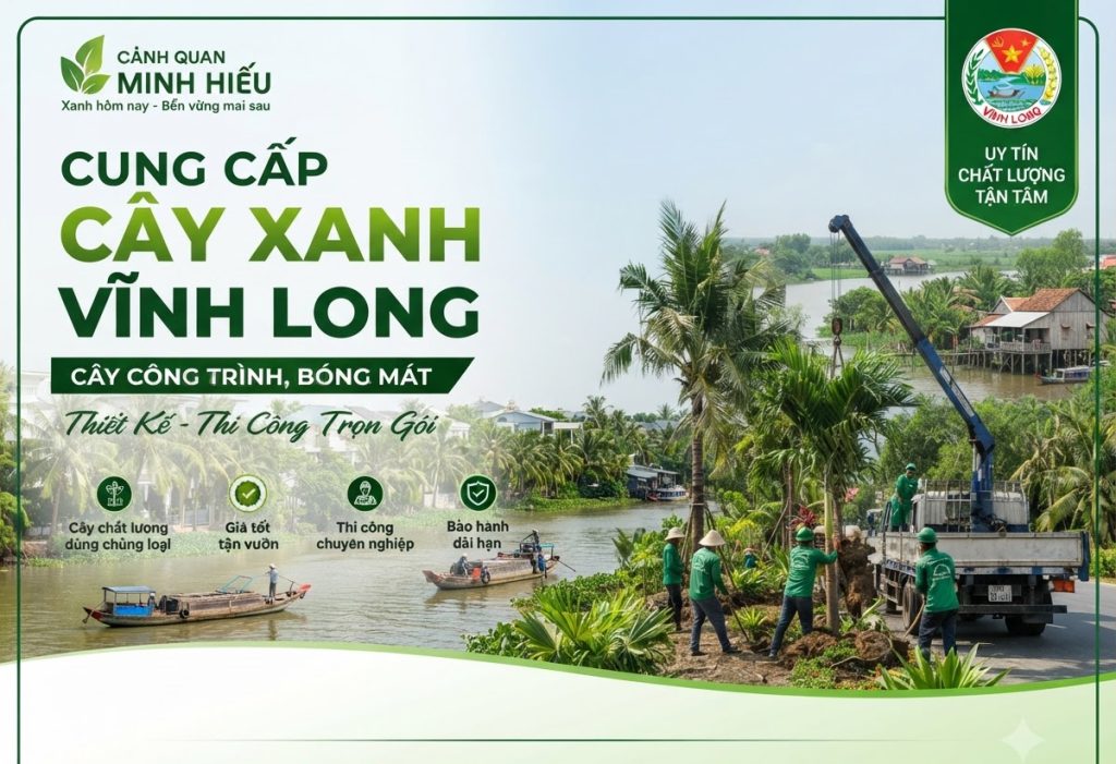 Cung Cấp Cây Xanh Vĩnh Long