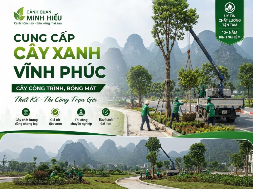 Cung Cấp Cây Xanh Vĩnh Phúc