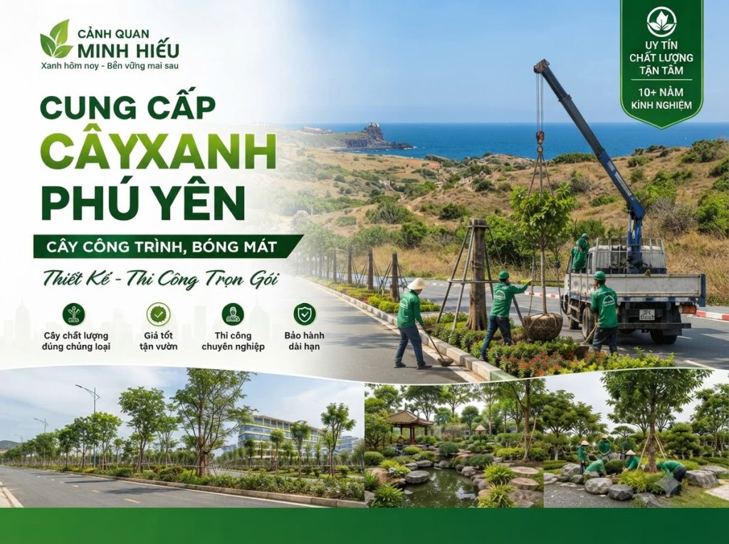 Cung Cấp Cây Xanh Phú Yên