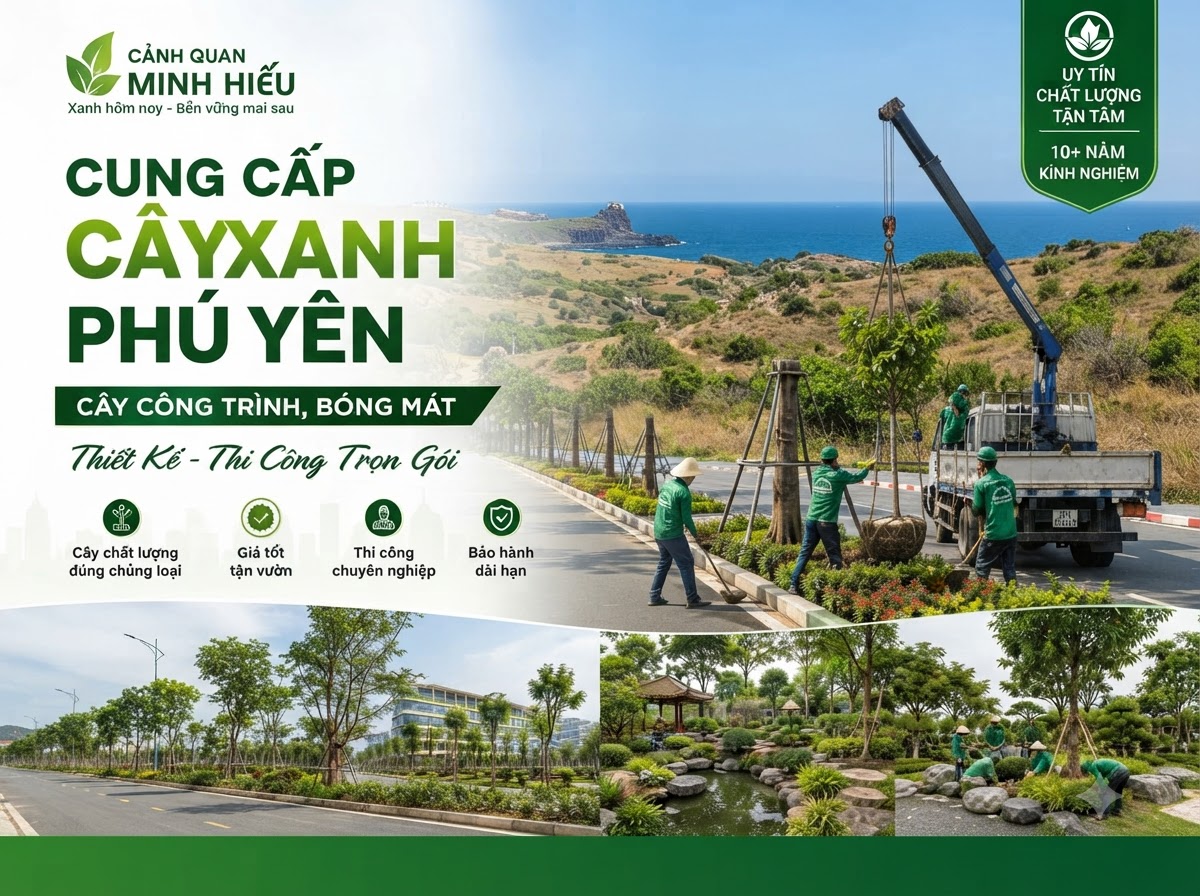 Cung Cấp Cây Xanh Phú Yên