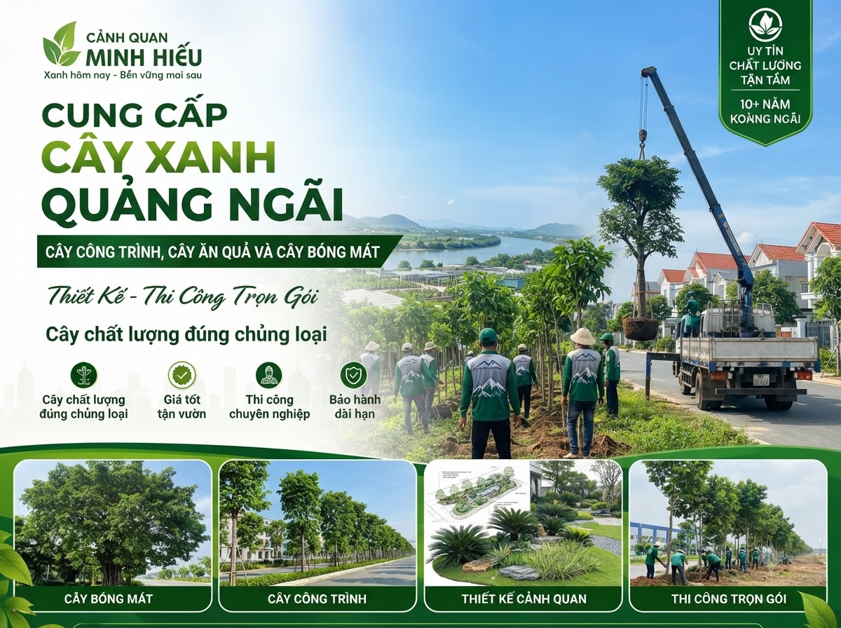 Cung Cấp Cây Xanh Quảng Ngãi