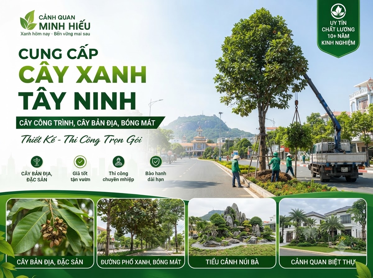 Cung Cấp Cây Xanh Tây Ninh