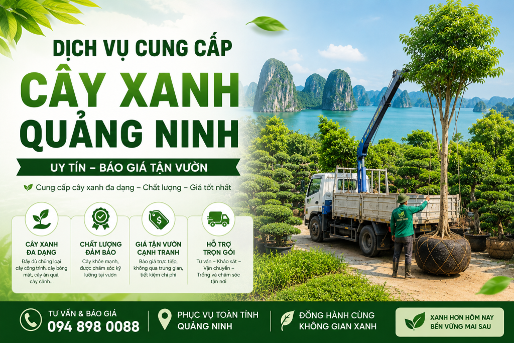 dich vu cay xanh