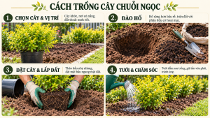 cach trong cay