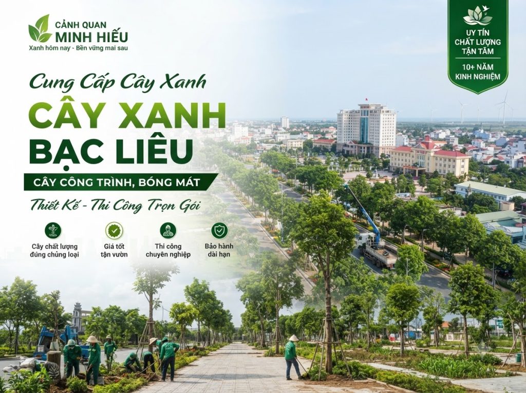 Cung Cấp Cây Xanh Bạc Liêu